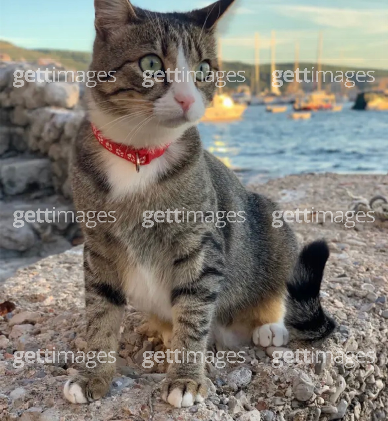Gett
Images