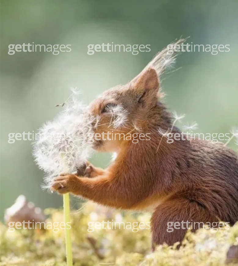 Foto: Gett Images