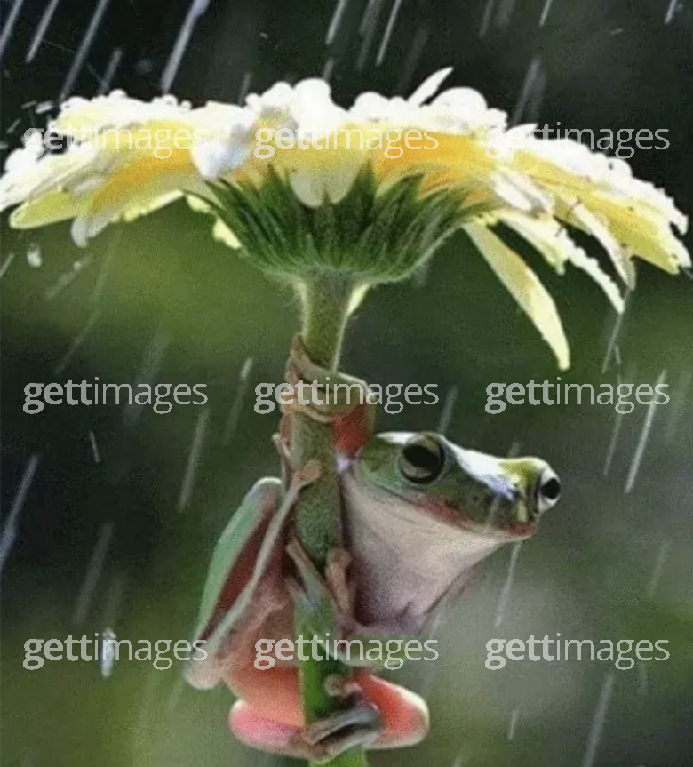 Foto: Gett Images