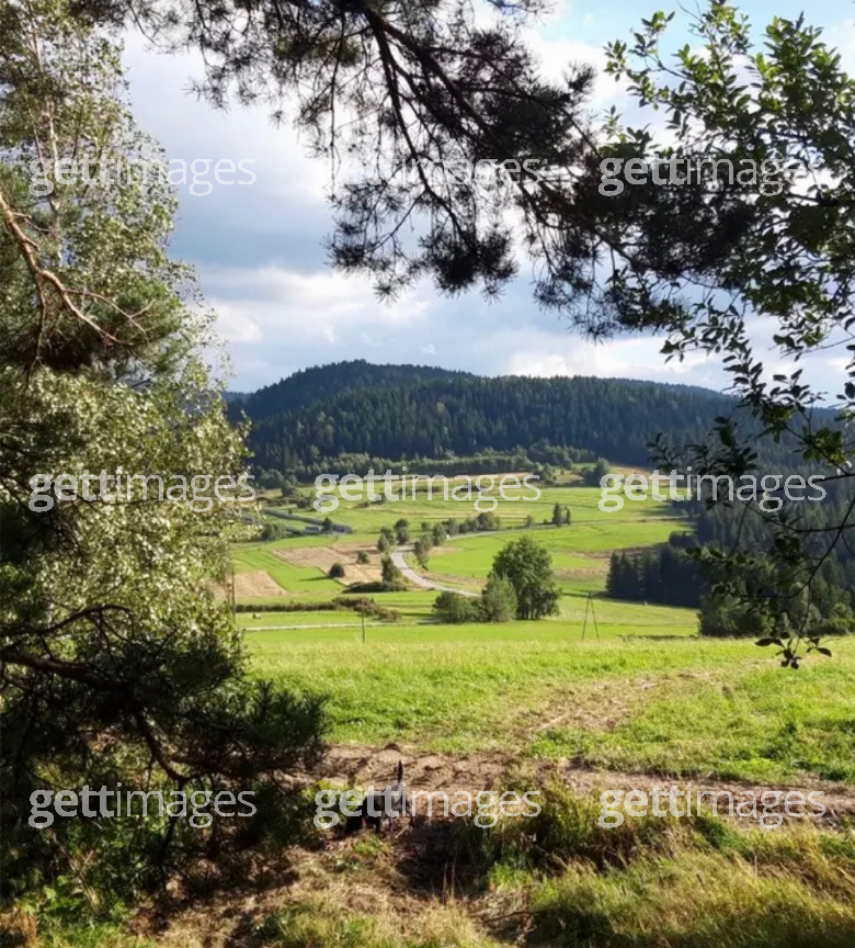 Foto: Gett Images / NazwaZam4k
