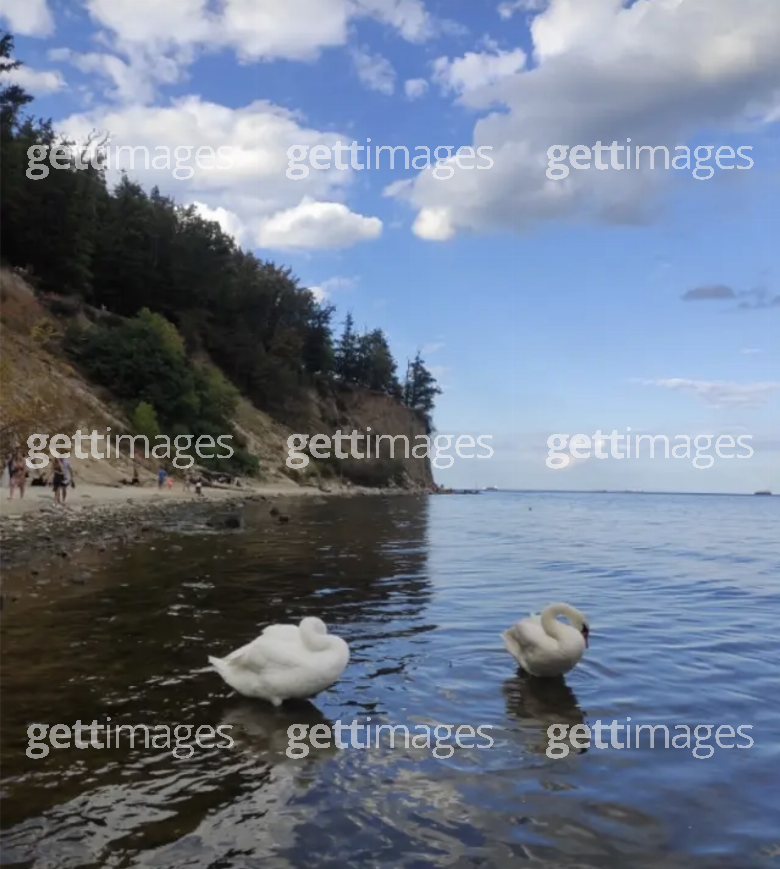 Foto: Gett Images / NazwaZam4k