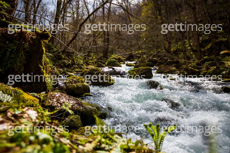 Gett
        Images