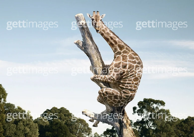 Foto: Gett Images