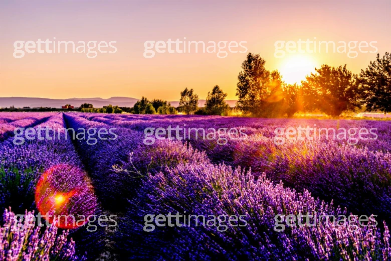 Foto: Gett Images